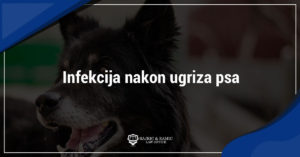 Read more about the article Infekcija nakon ugriza psa