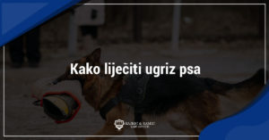 Read more about the article Kako liječiti ugriz psa