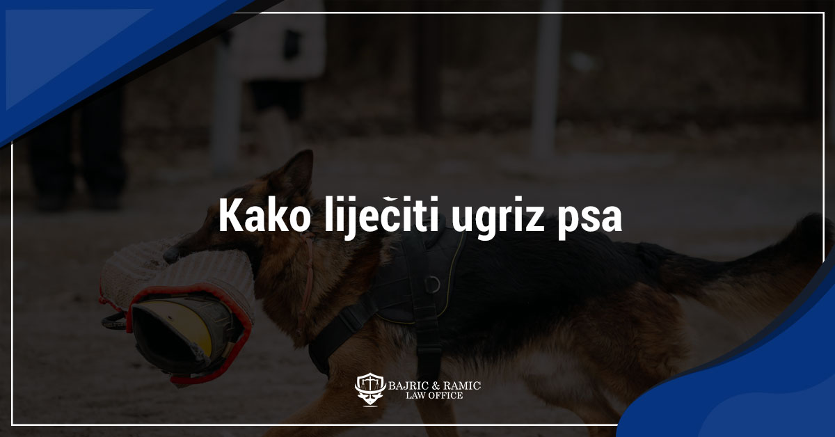 You are currently viewing Kako liječiti ugriz psa