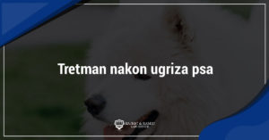 Read more about the article Tretman nakon ugriza psa